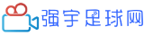 强宇足球网